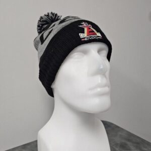 ECHA CCM Team Pom Knit Hat