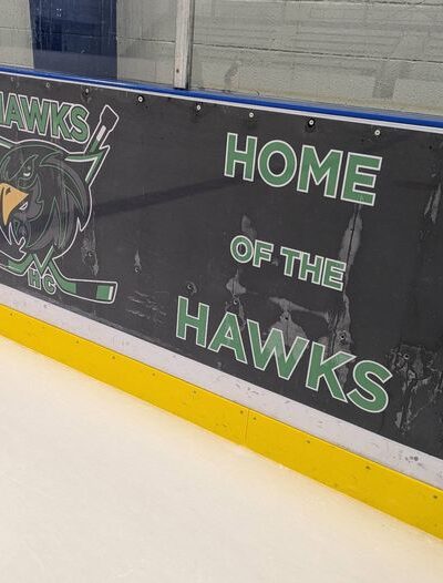 Hawks Hawks
